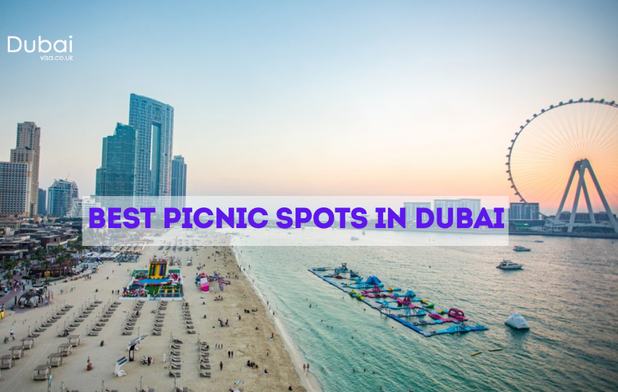 Top 13 Picnic Spots in Dubai for Your Perfect Outing In 2024